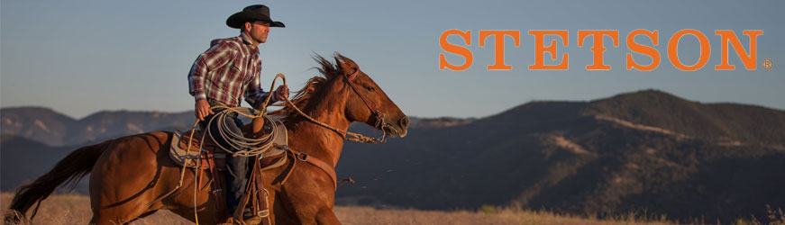 Stetson Boots