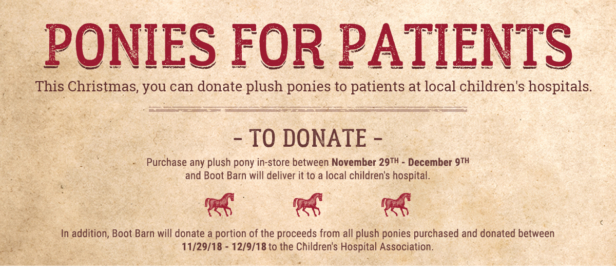 Ponies for Patients