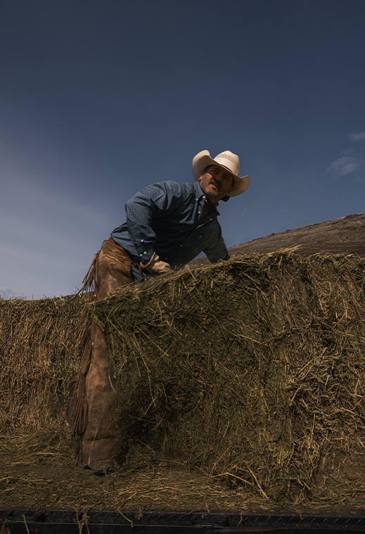 Shop Men's and Women's Western Shirts