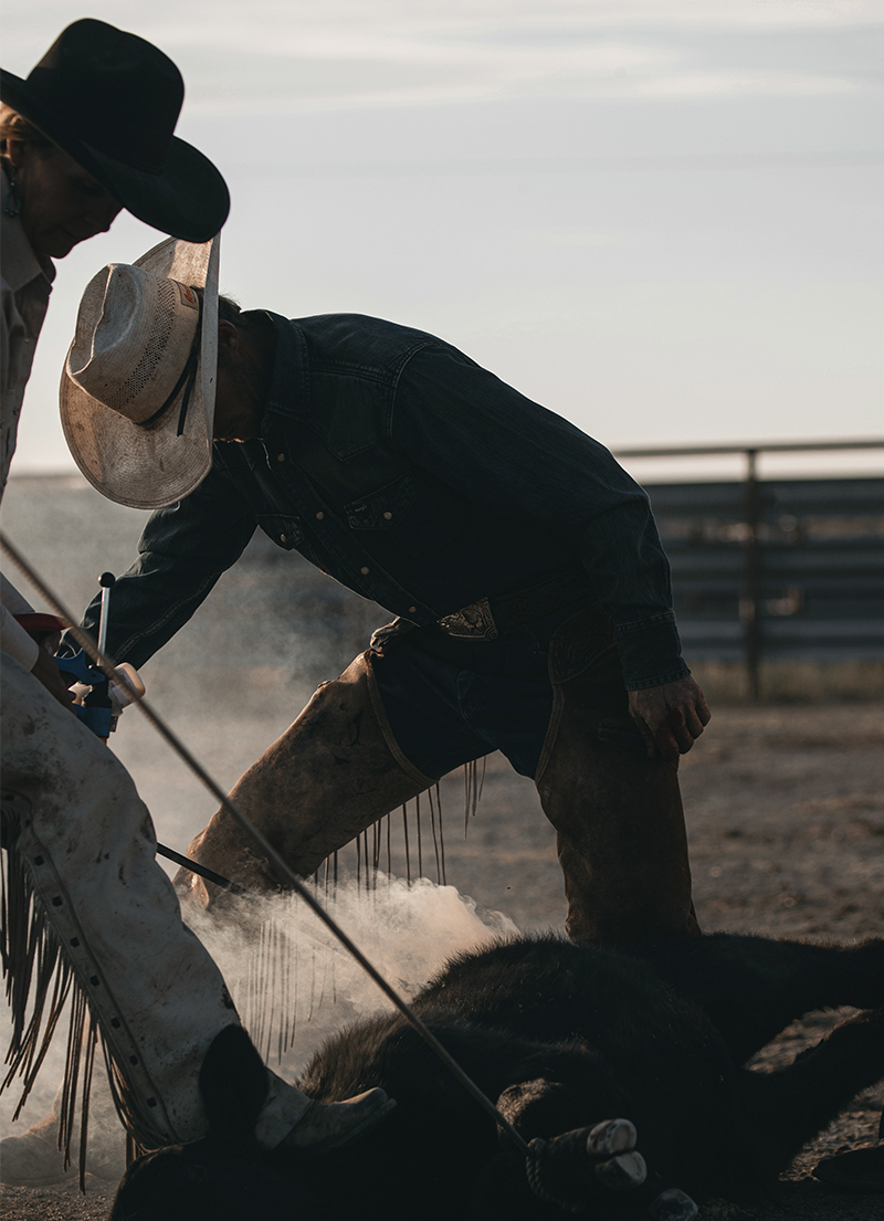 Shop the Wrangler Retro BOGO 50% Off Sale