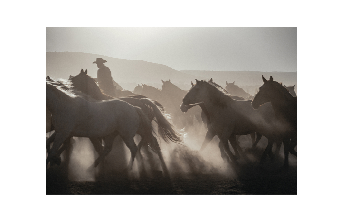 Dream Out West - Shop The Collection