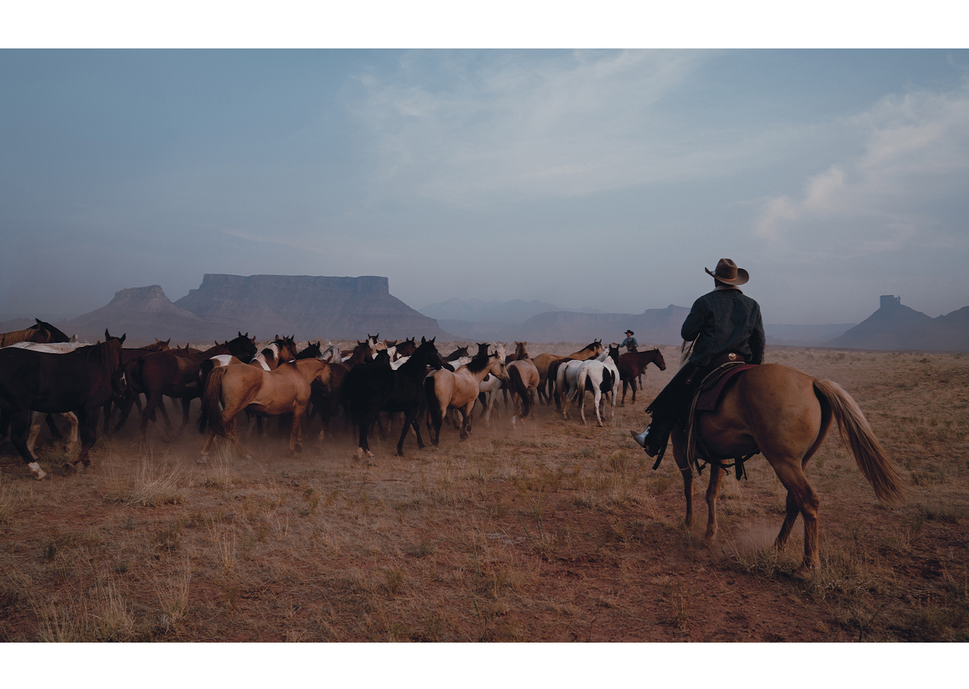 Dream Out West - Shop The Collection