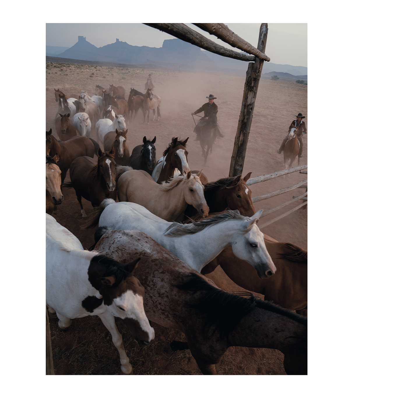 Dream Out West - Shop The Collection