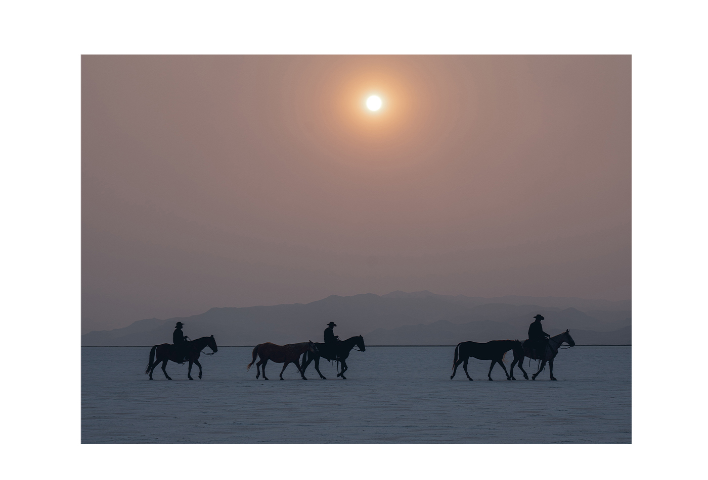 Dream Out West - Shop The Collection