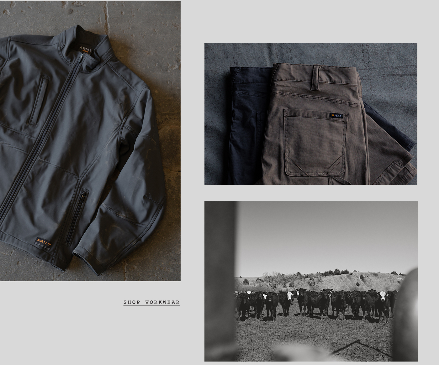 Father's Day Gift Guide - Shop Now