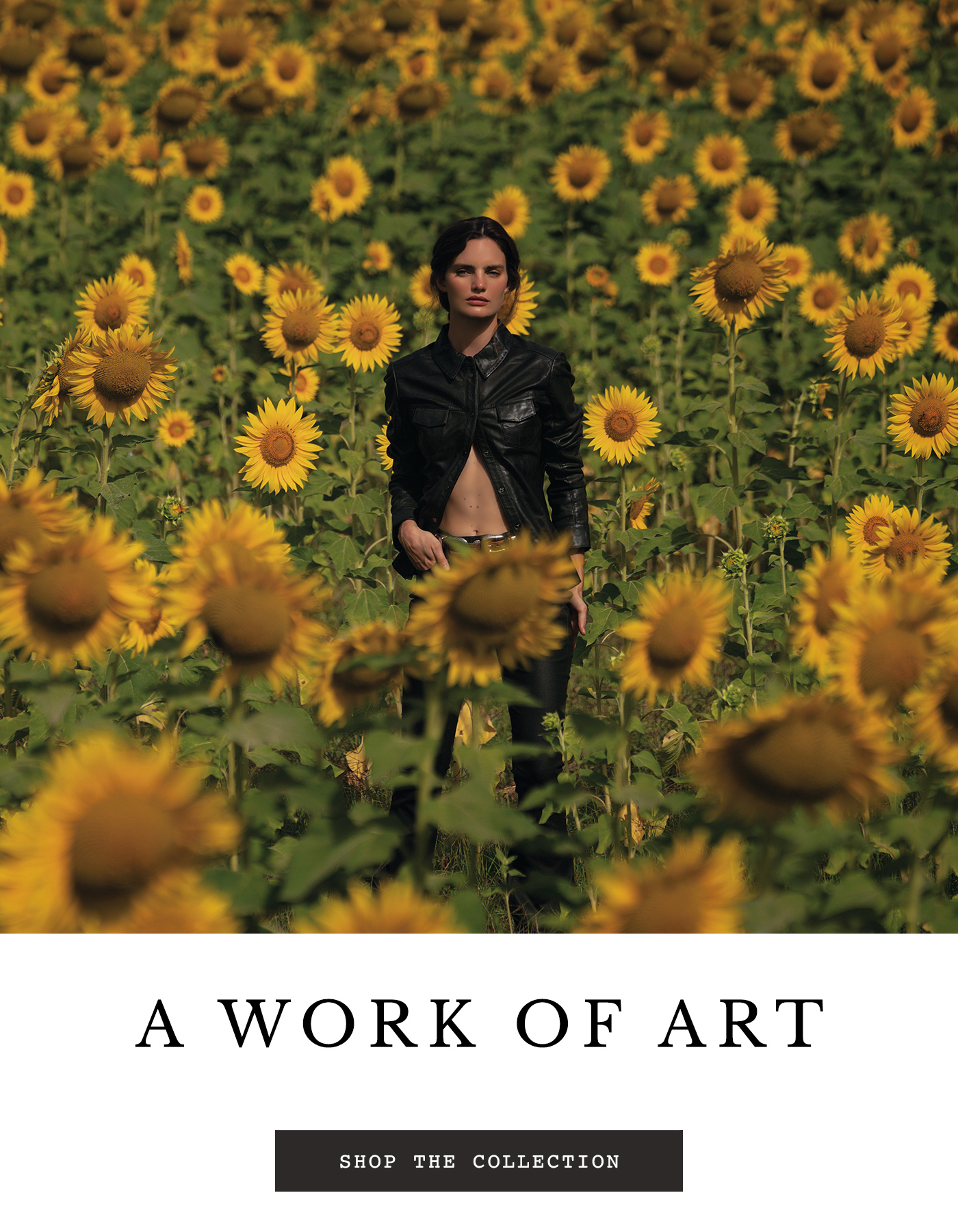 A Work Of Art - Shop The Collection