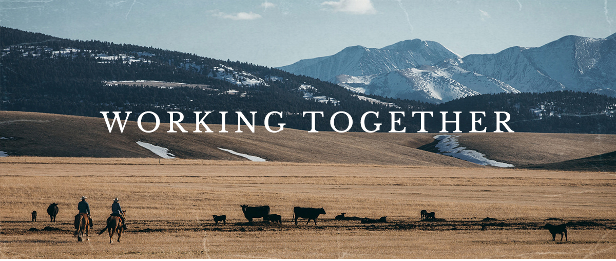 Working Together