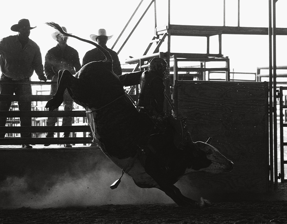 Dennis Davis Bucking Bulls