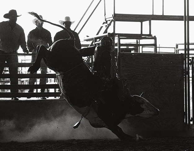 Dennis Davis Bucking Bulls