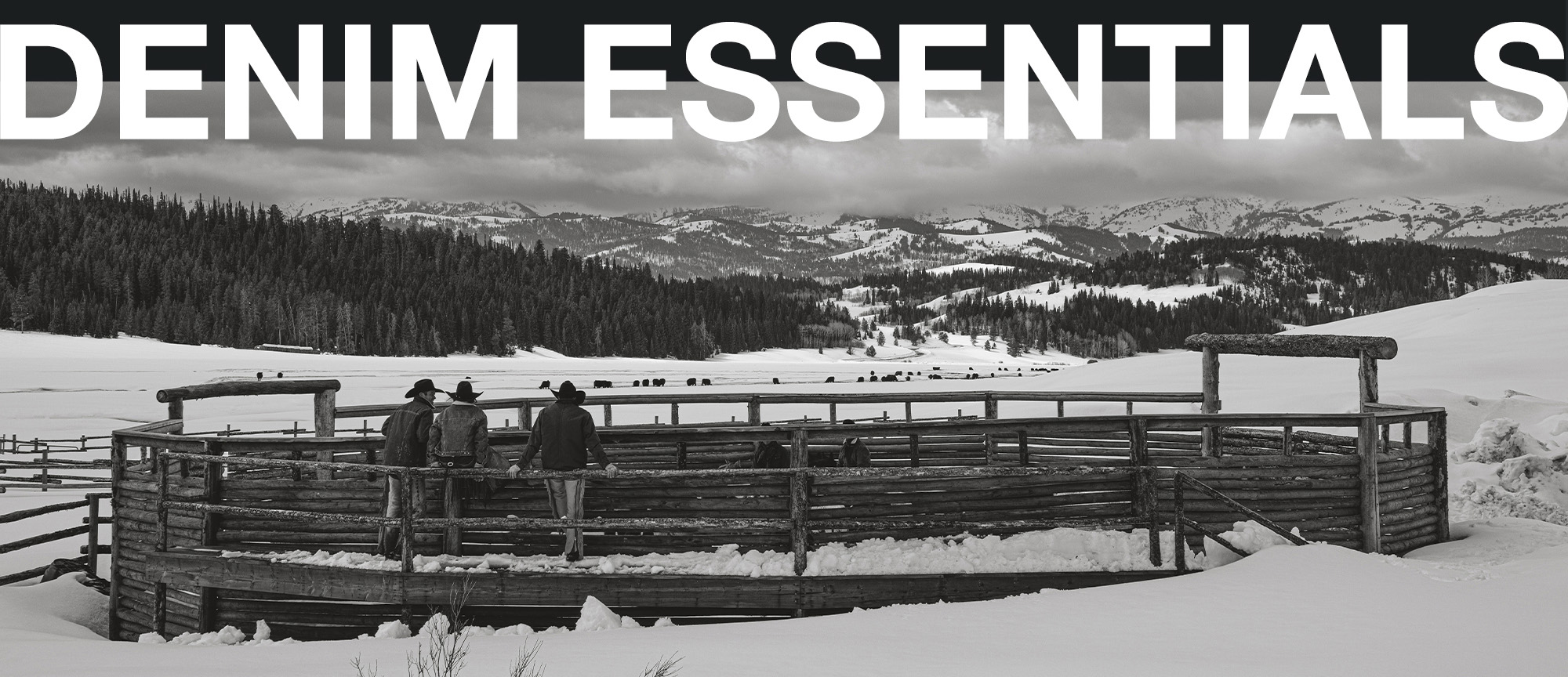 Denim Essentials