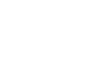 Official Selection - Wyoming International Film Festival 2025